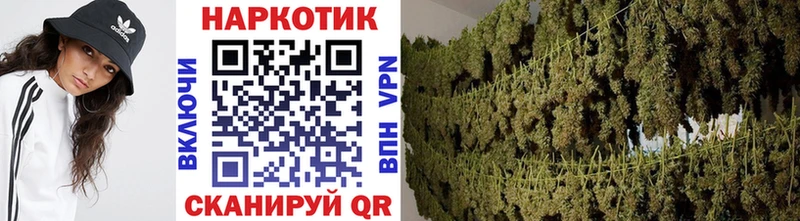 Продажа наркотиков Соликамск Псилоцибиновые грибы Гашиш Конопля