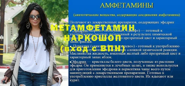 индика Медвежьегорск