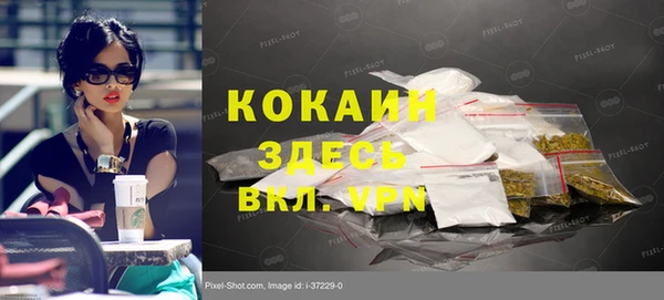 индика Медвежьегорск