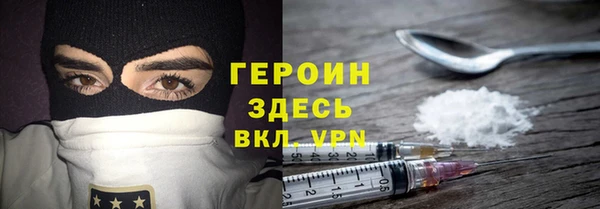 индика Медвежьегорск