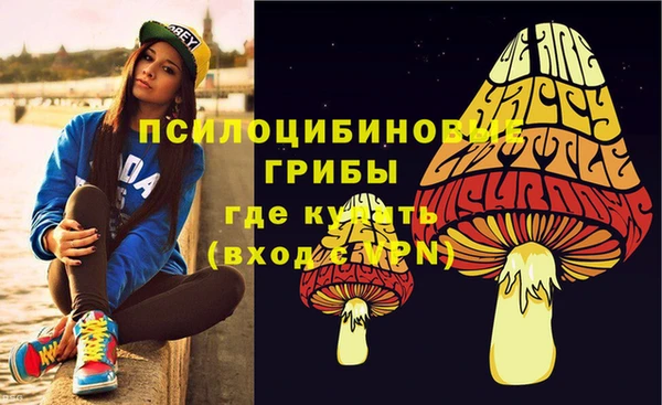 гидра Михайловка