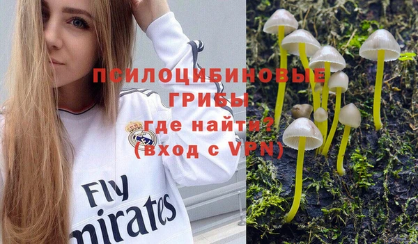 гидра Михайловка