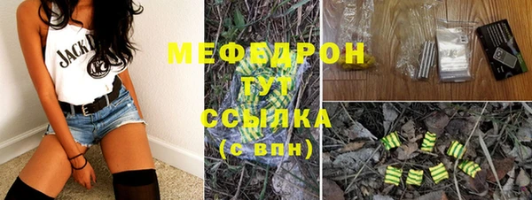 гидра Михайловка