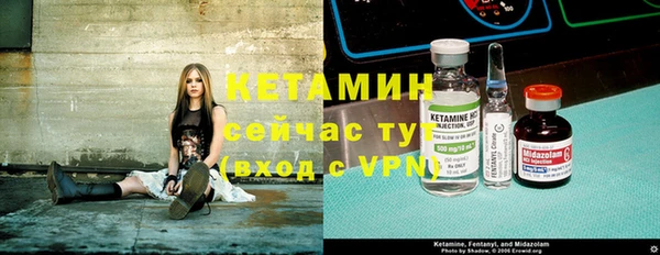 индика Медвежьегорск
