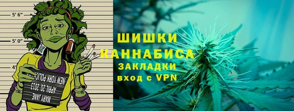 PSILOCYBIN Богородицк