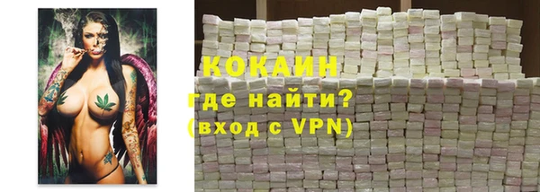 индика Медвежьегорск