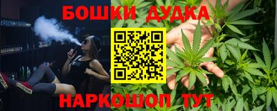 индика Абакан
