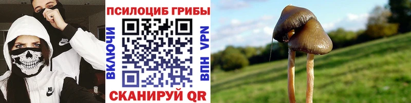 omg зеркало  Соликамск  Галлюциногенные грибы мухоморы  купить  