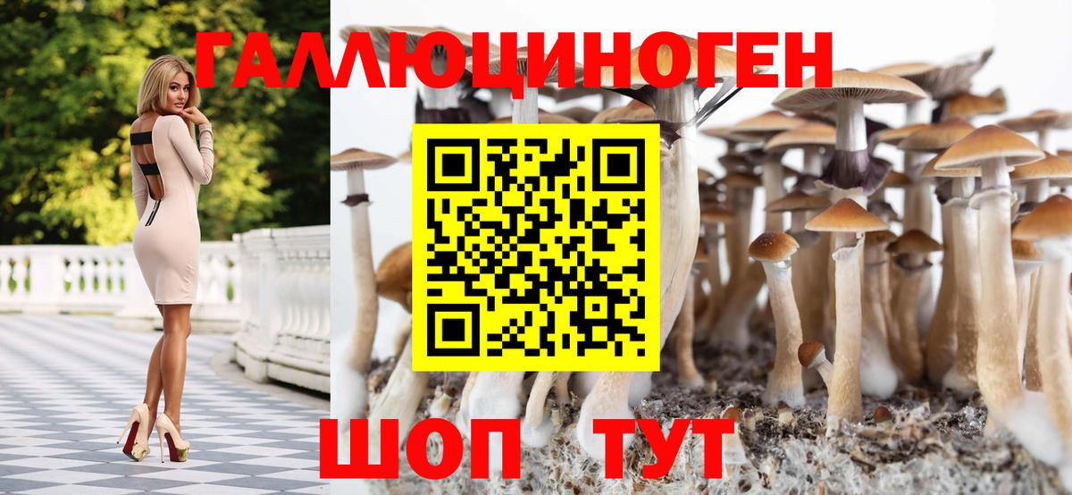 Галлюциногенные грибы Magic Shrooms  где купить наркотик  Соликамск  Вход с VPN  Галлюциногенные грибы Cubensis 