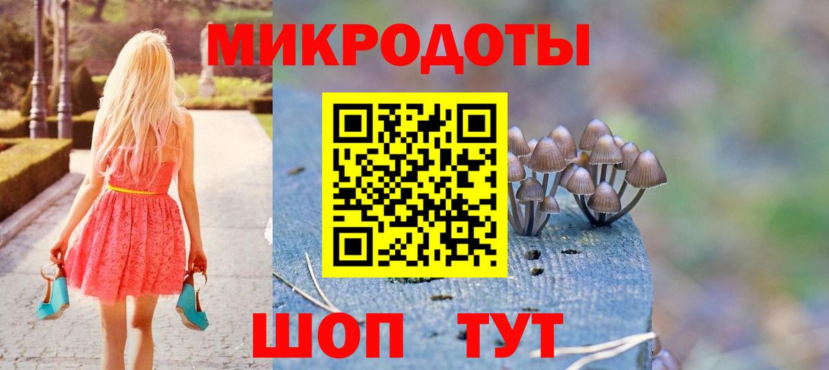 Галлюциногенные грибы Psilocybine cubensis Соликамск